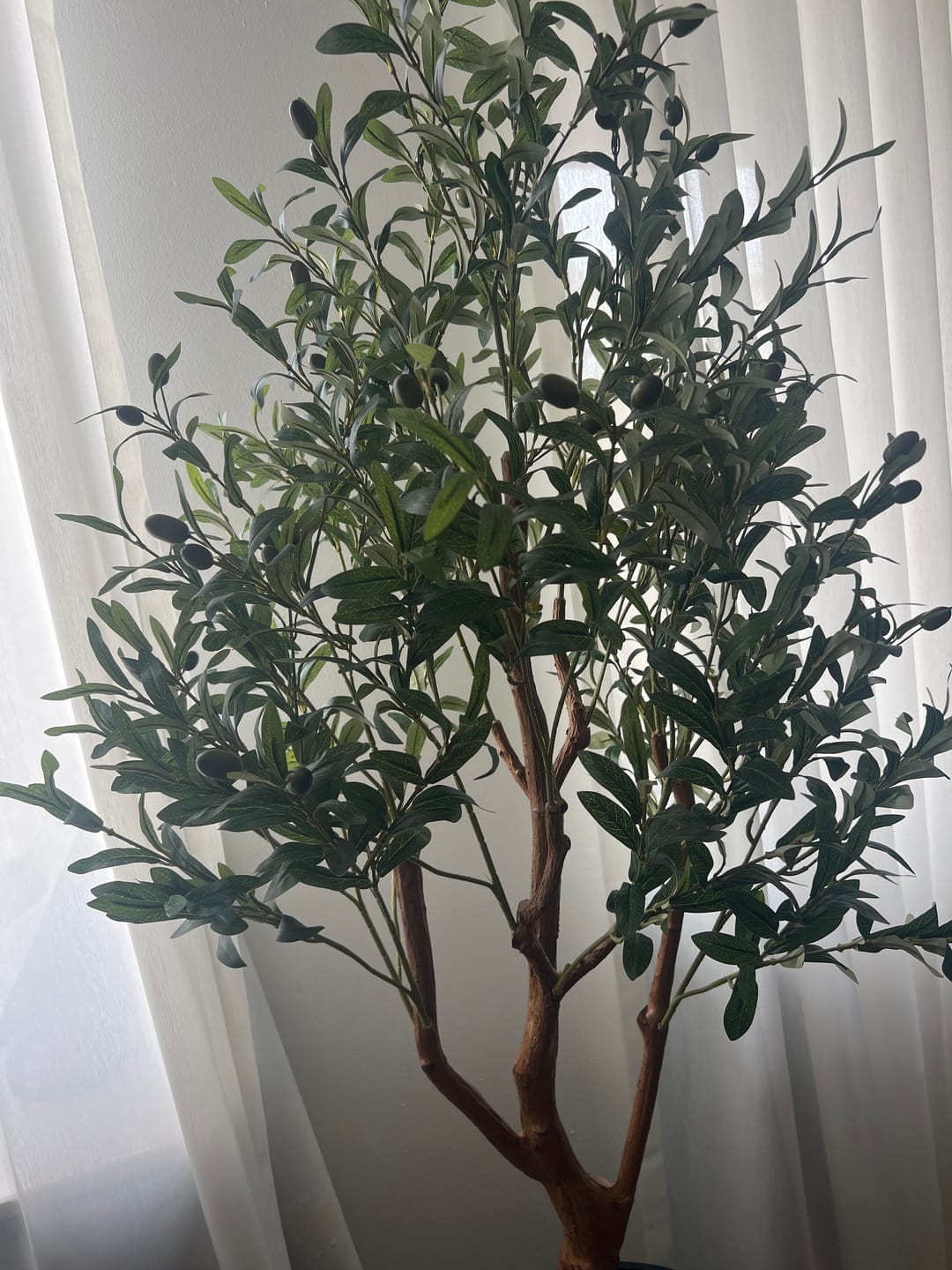 Customer photo review of Kunst Olijfboom 150cm
