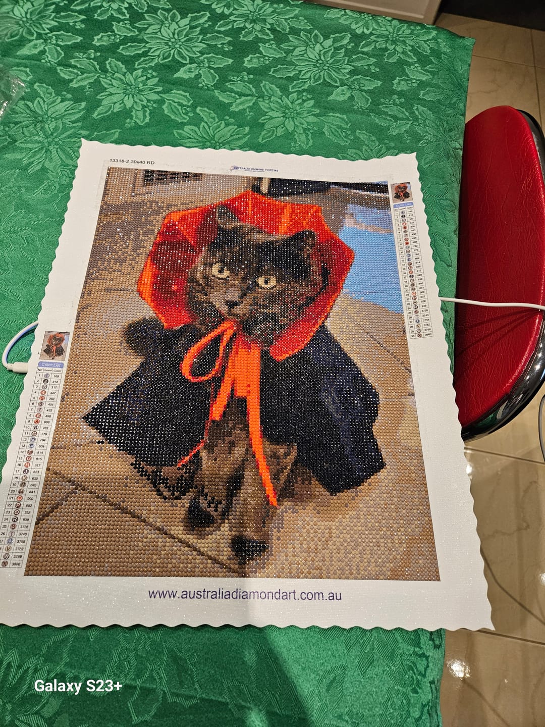 Customer photo review of Custom Diamond Painting