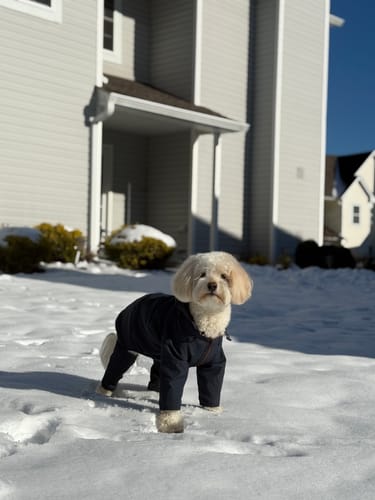 Customer photo review of Nylon Coverall