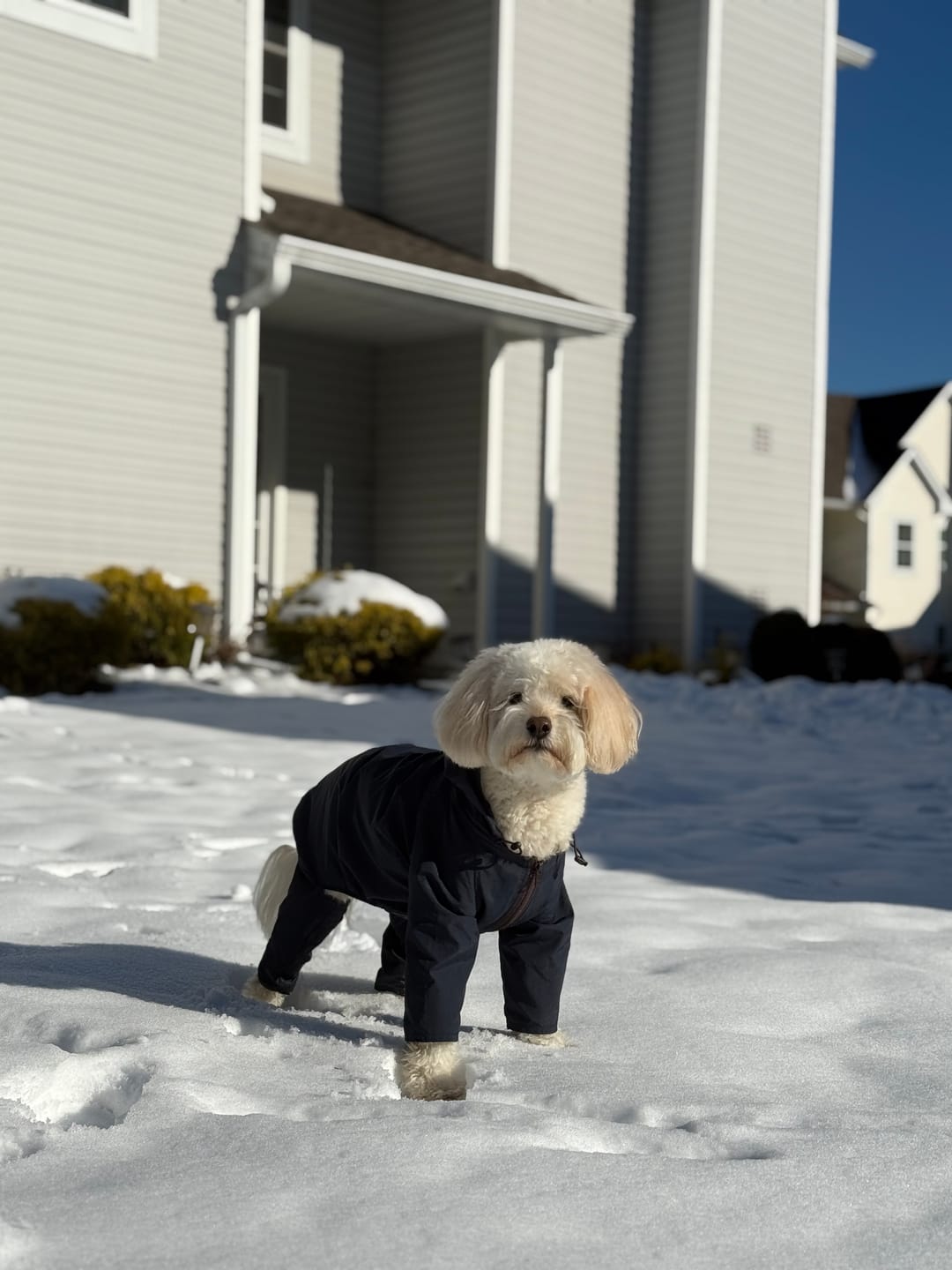 Customer photo review of Nylon Coverall
