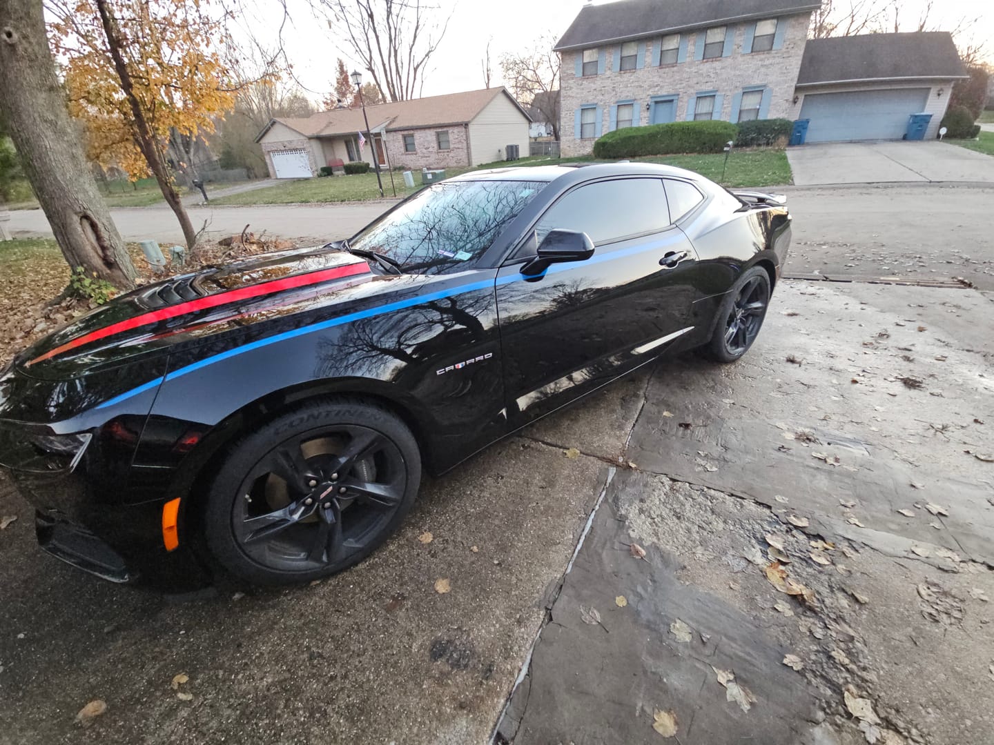 Customer photo review of BLACKLINE® ULTRA-SOFT DETAIL BRUSH SET