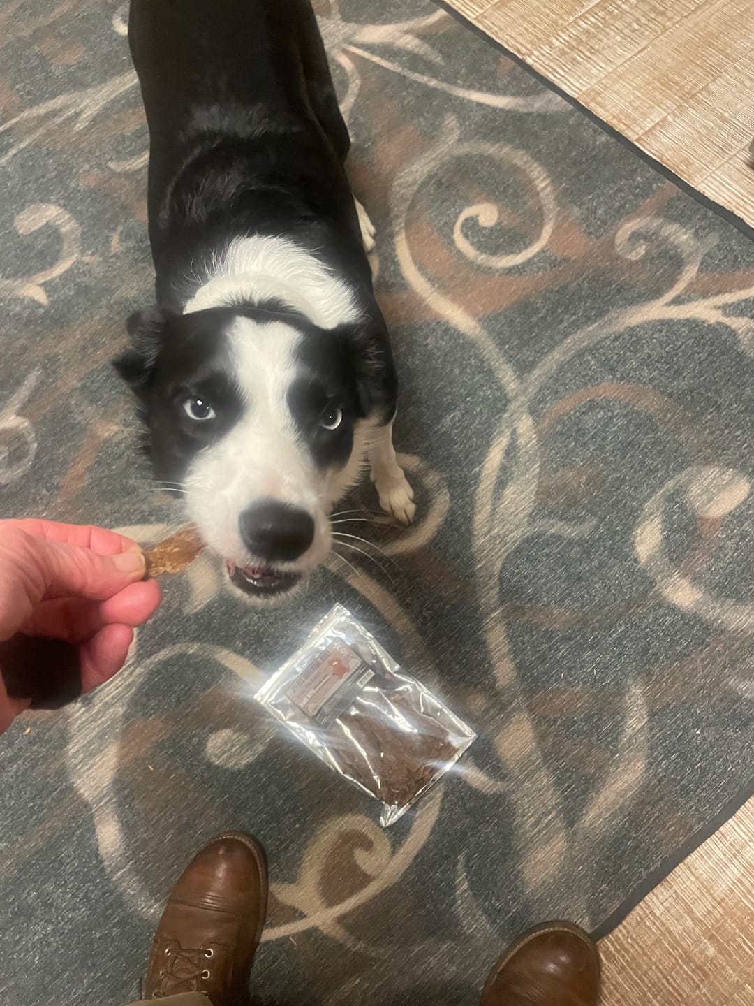 Customer photo review of Dog Treats