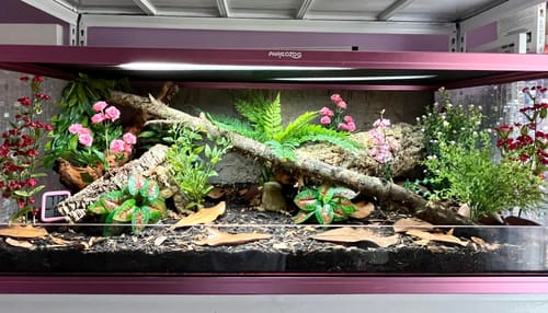 Customer photo review of 85 Gallon Snake Enclosure 48''x24''x18''