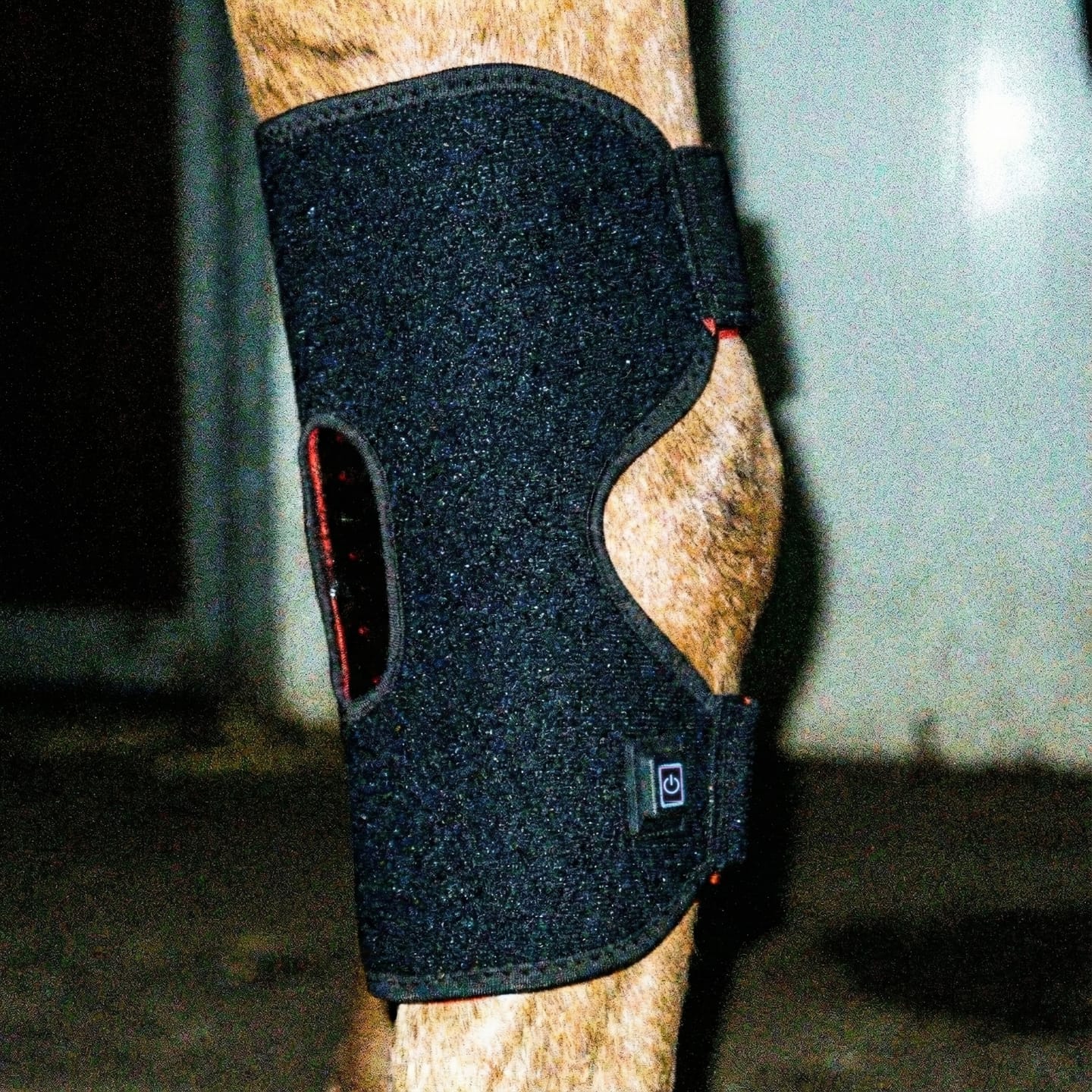 Customer photo review of HorseHalo™  HaloHocks