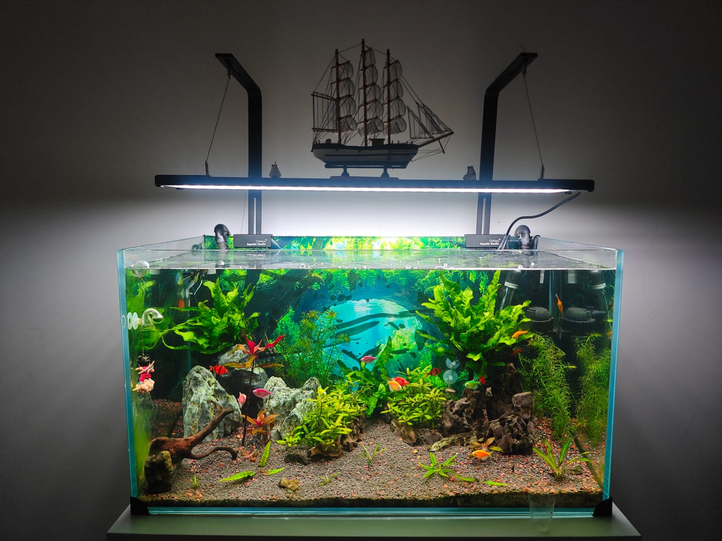 Customer photo review of Chihiros WRGB II Pro LED Light