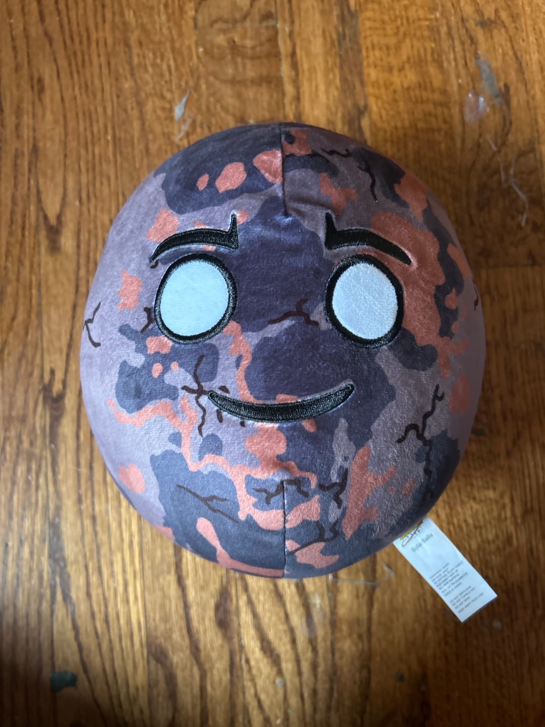 Customer photo review of The SolarBalls Proto Plush