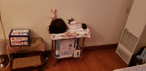 Customer photo review of 2x Blisso Advanced Cat Probiotic | Cat Probiotic for Diarrhea & Kidney Support