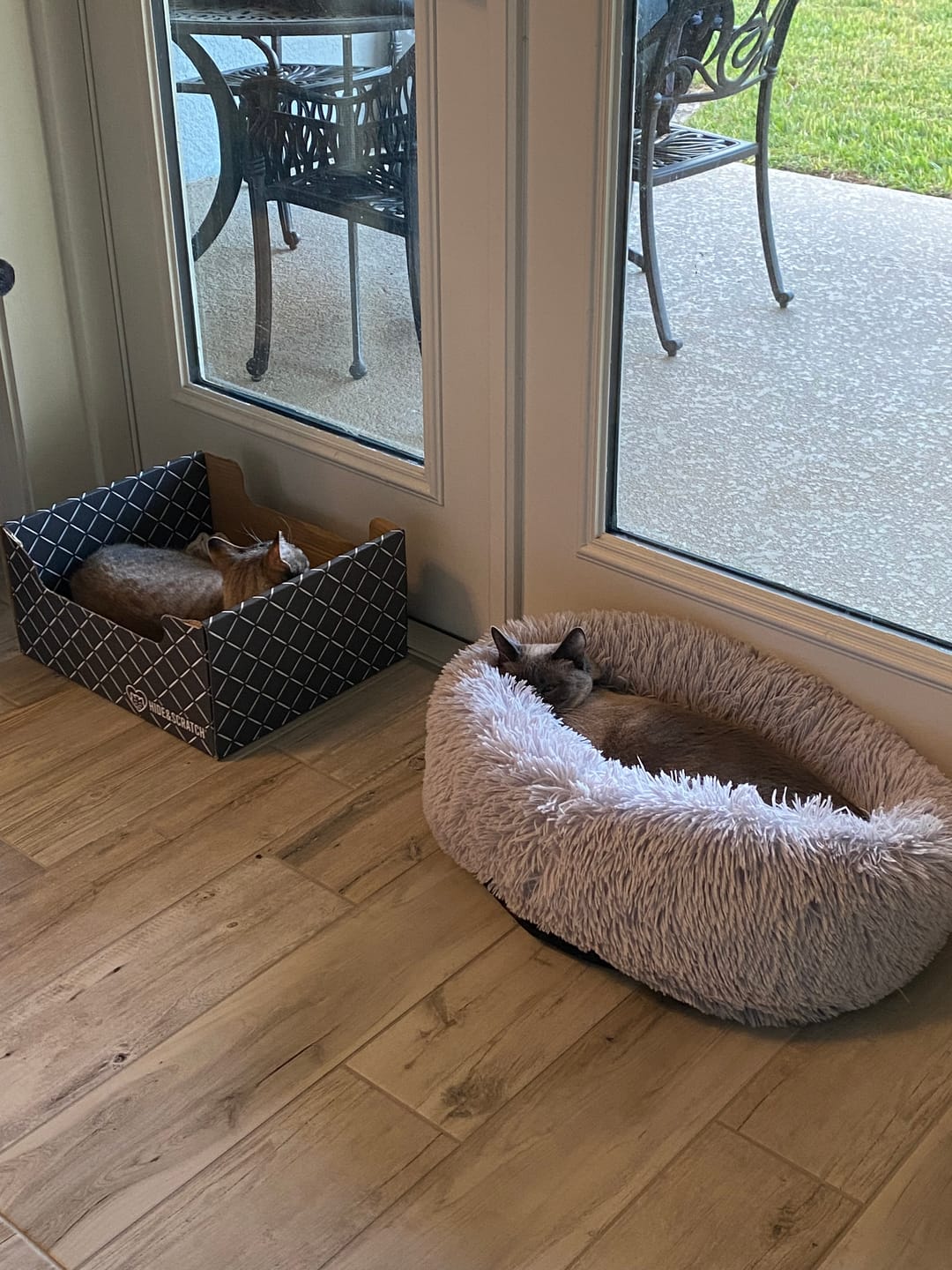 Customer photo review of Hide & Scratch Extra-Large Cat Scratcher Box