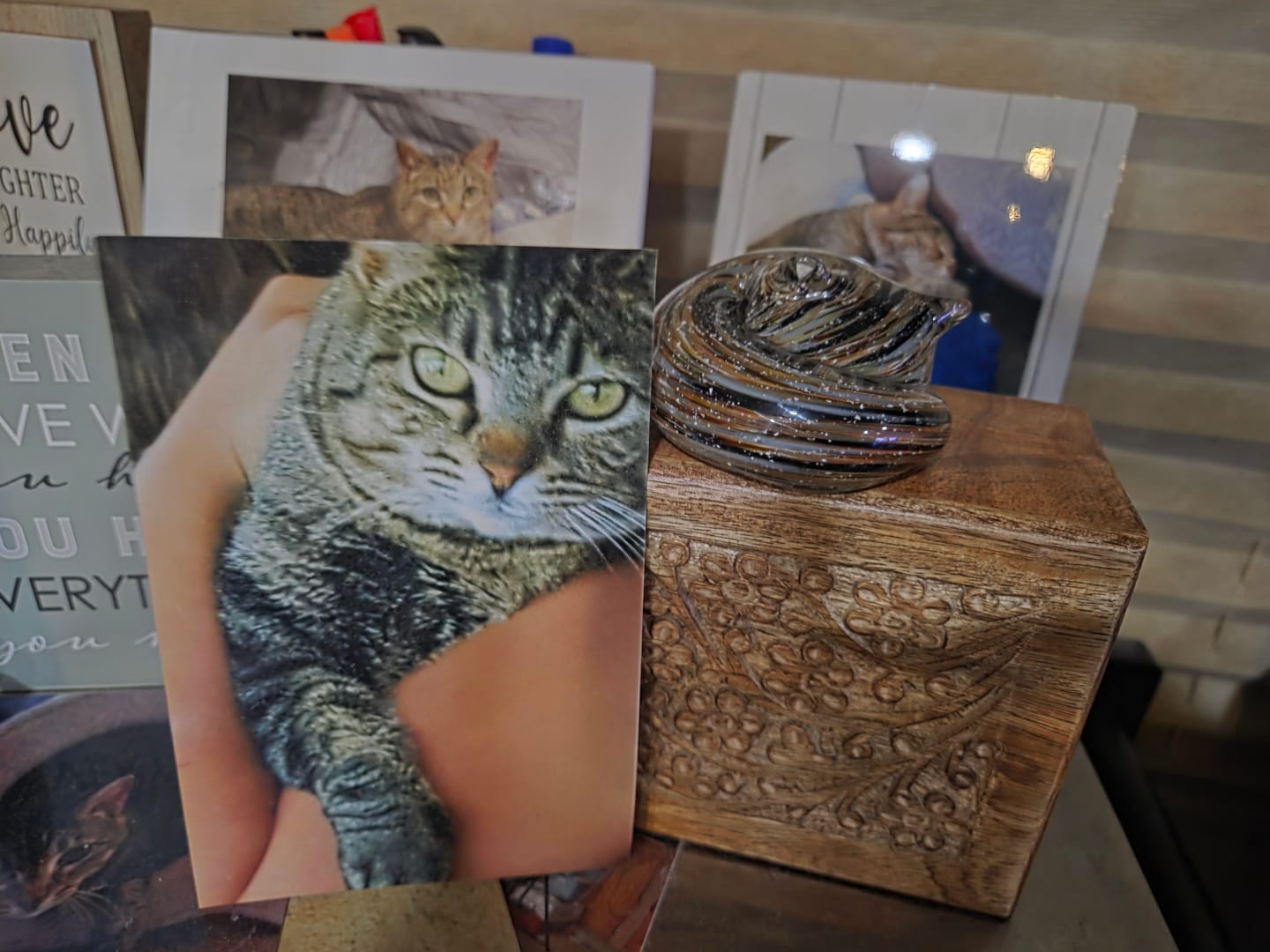 Customer photo review of Sleeping Cat with Infused Cremation Ashes
