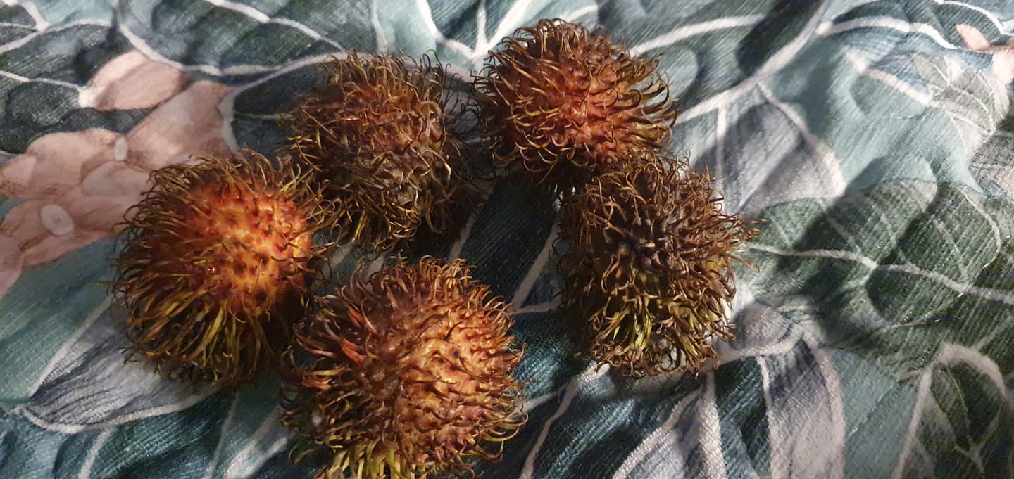 Customer photo review of Rambutan naturbelassen