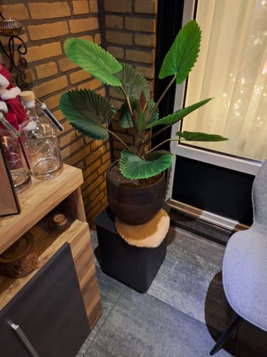 Customer photo review of Kunst Waaierpalm 75cm