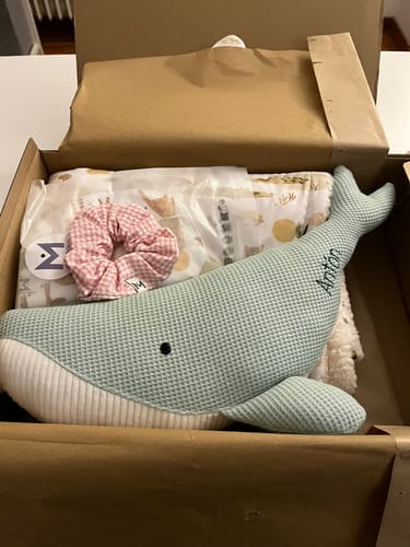 Customer photo review of Pack invierno estampado: Peluche Susi personalizado + Manta personalizada + Babero + Chupetero