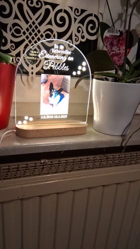 Customer photo review of Zur liebevollen Erinnerung – LED-Lampe für Hund/Katze