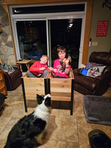 Customer photo review of 18" x 60" Raised Garden Bed - 30" TALL