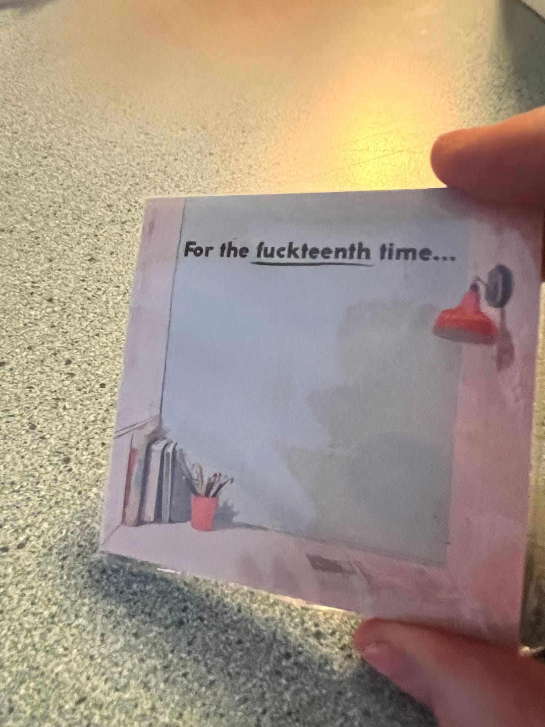 Customer photo review of For The Fuckteenth Time Sticky Notes
