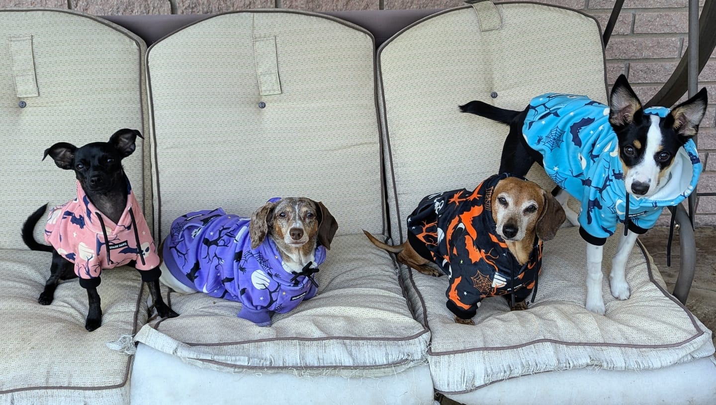 Customer photo review of Halloween Dog Hoodie - Black
