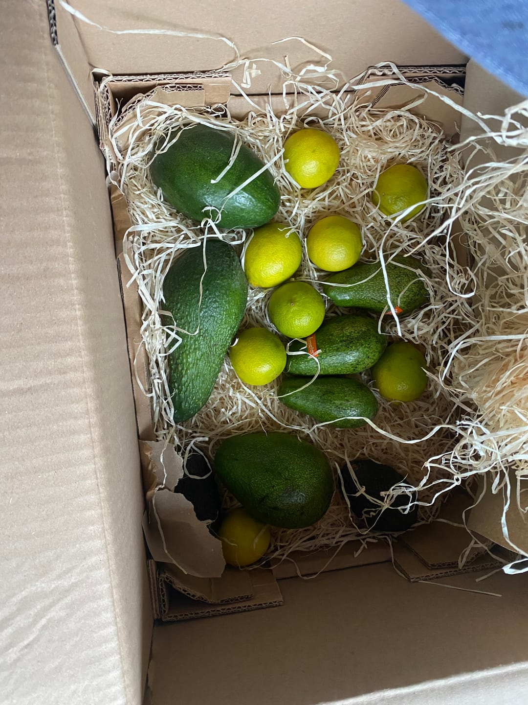 Customer photo review of Limetten Bio von Andres Spanien