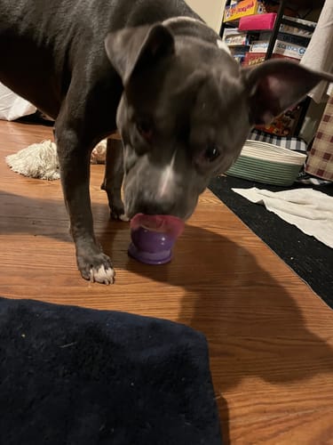 Customer photo review of Freezball - Durable Fillable Dog Chew Bone