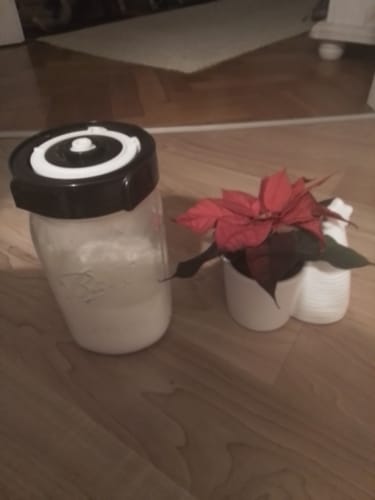 Customer photo review of Fermentationsglas– Für Wasserkefir, Milchkefir & Mikroben-Magie