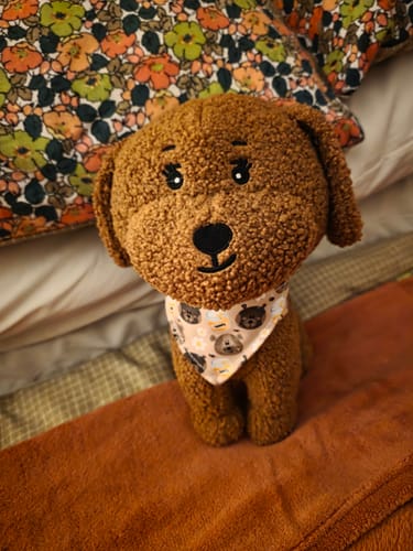 Customer photo review of Toy Lilo Plushie