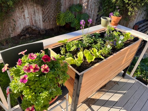 Customer photo review of 18" x 48" Raised Garden Bed - 30" TALL