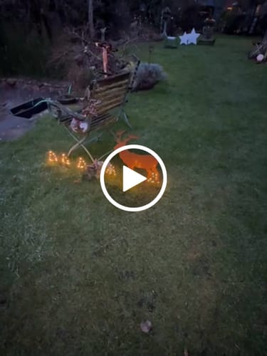 Customer video review of Gartenstecker Rothirsch