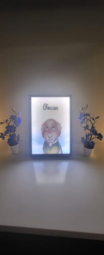 Customer photo review of Custom Pet Light Box Art