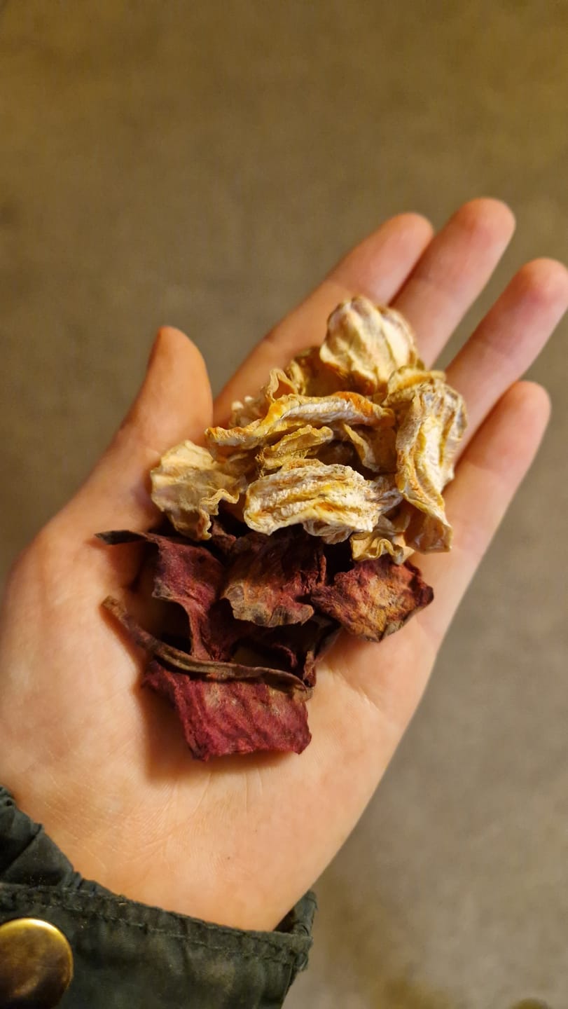 Customer photo review of Karotten Chips