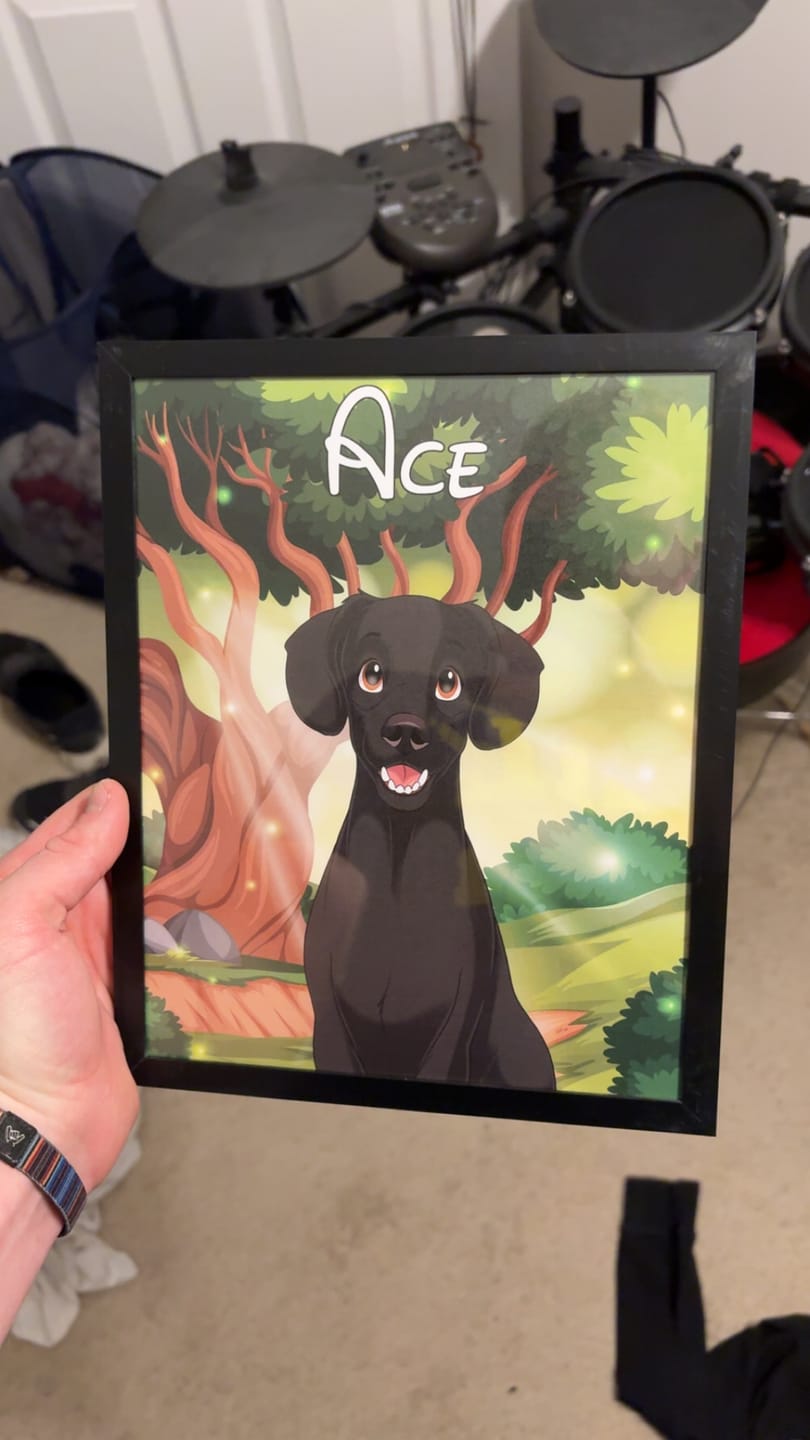 Customer photo review of Disneyfy Pet Cartoon Hand Drawn Portrait