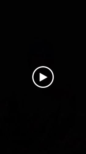 Customer video review of Zkittlez Flower