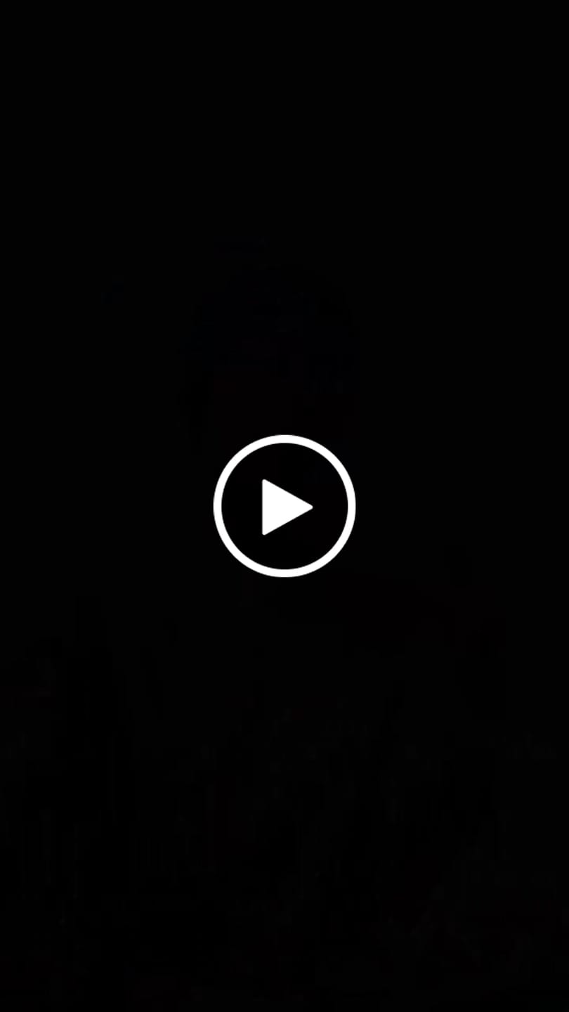 Customer video review of Zkittlez Flower