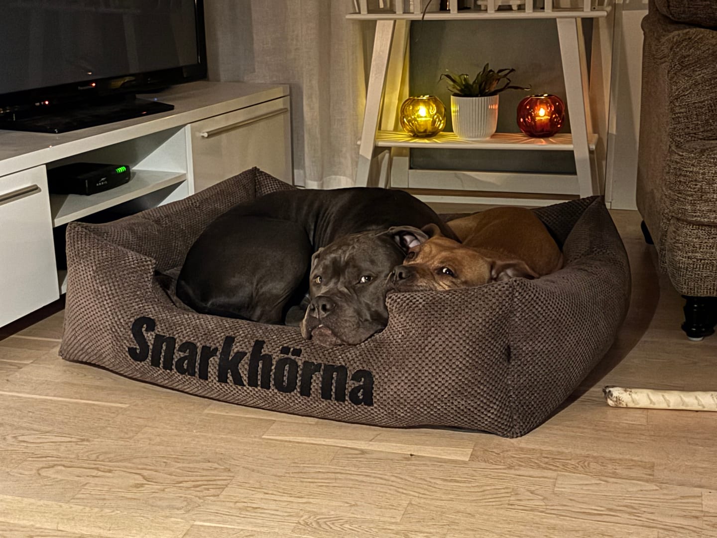 Customer photo review of Platinum brown - brun hundbädd med namn