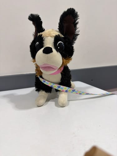 Customer's Nugget Plushie toy dog sitting on a white table with a pink collar and leash.