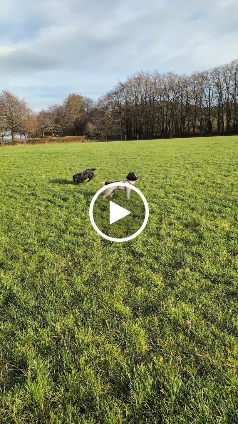 Customer video review of Tidal Waterproof Longline