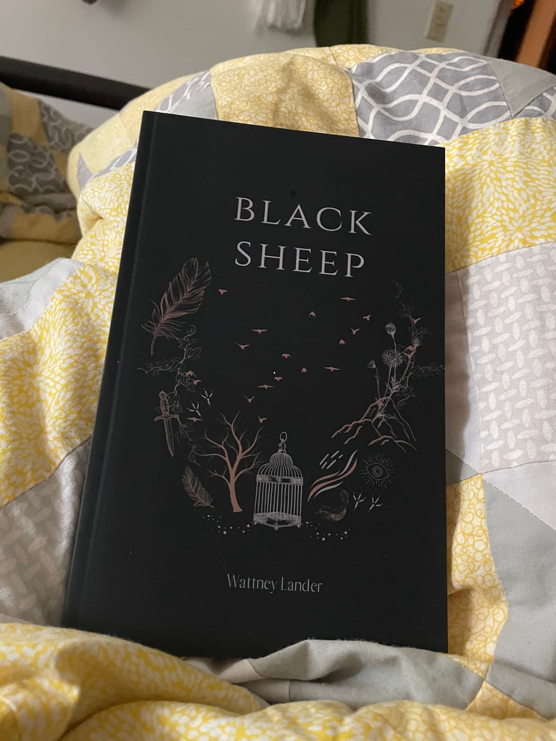 Customer photo review of Black Sheep