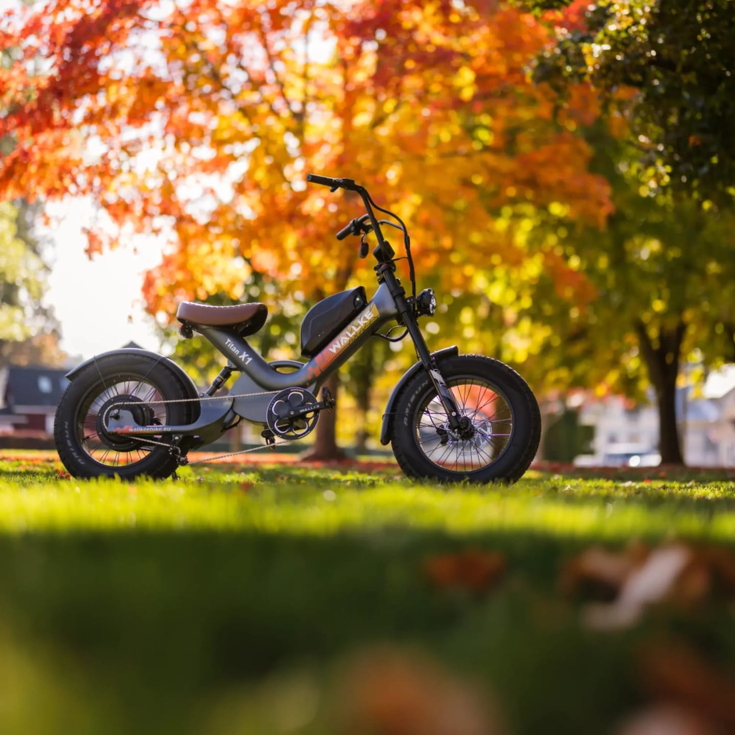 Customer photo review of WALLKE Titan X1 Carbon Fiber Frame | 3800W Cruiser Ebike