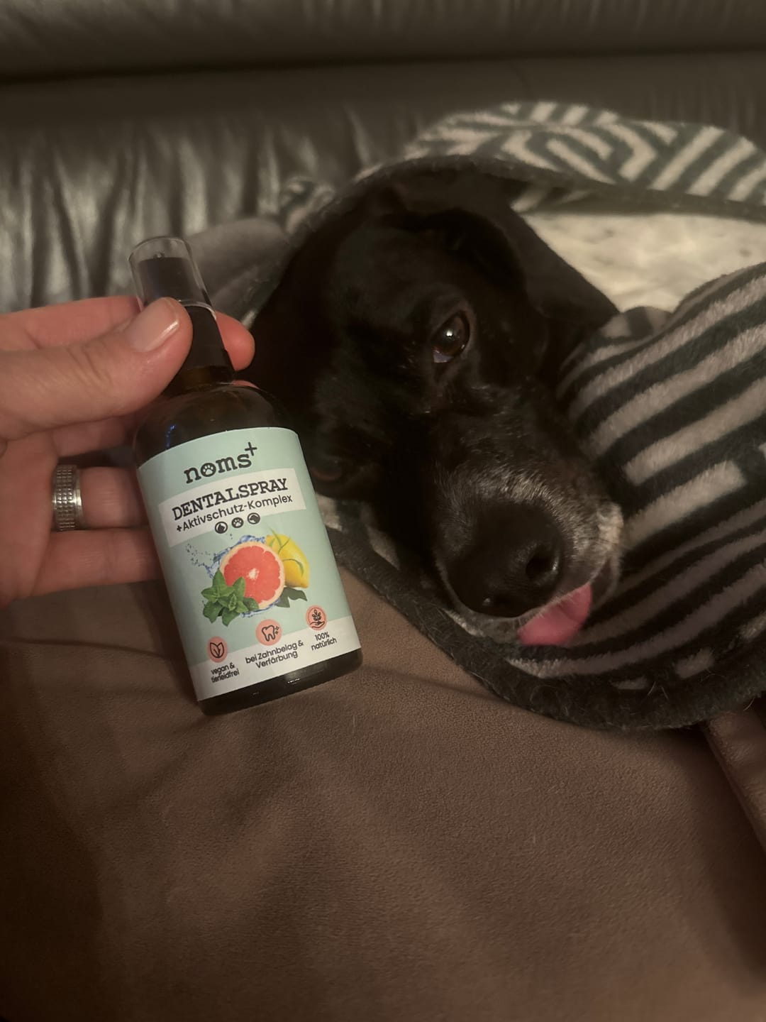 Customer photo review of Dentalspray bei Zahnstein für Hunde und Katzen [Jahresvorrat]