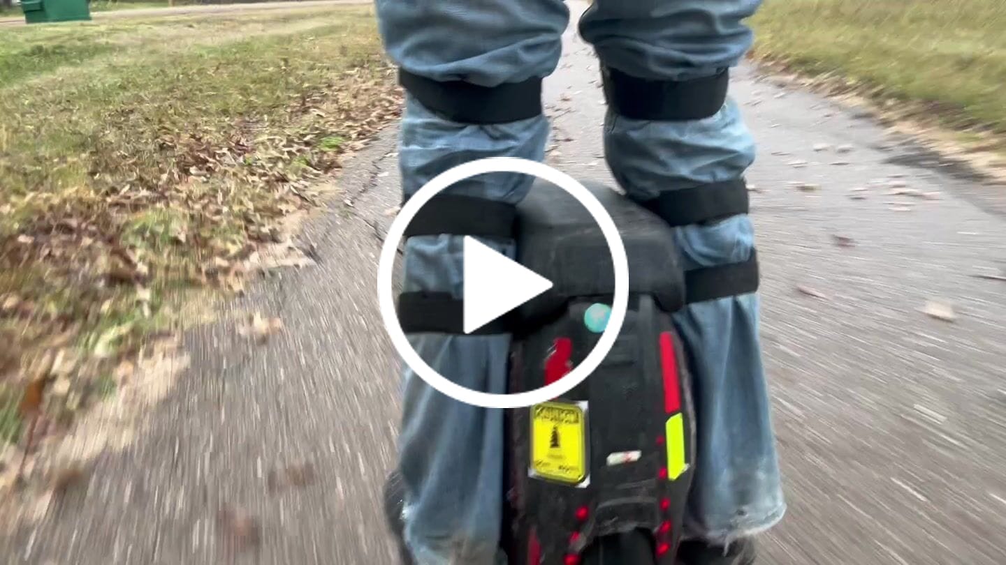 Customer video review of Trees Don’t Move Sticker