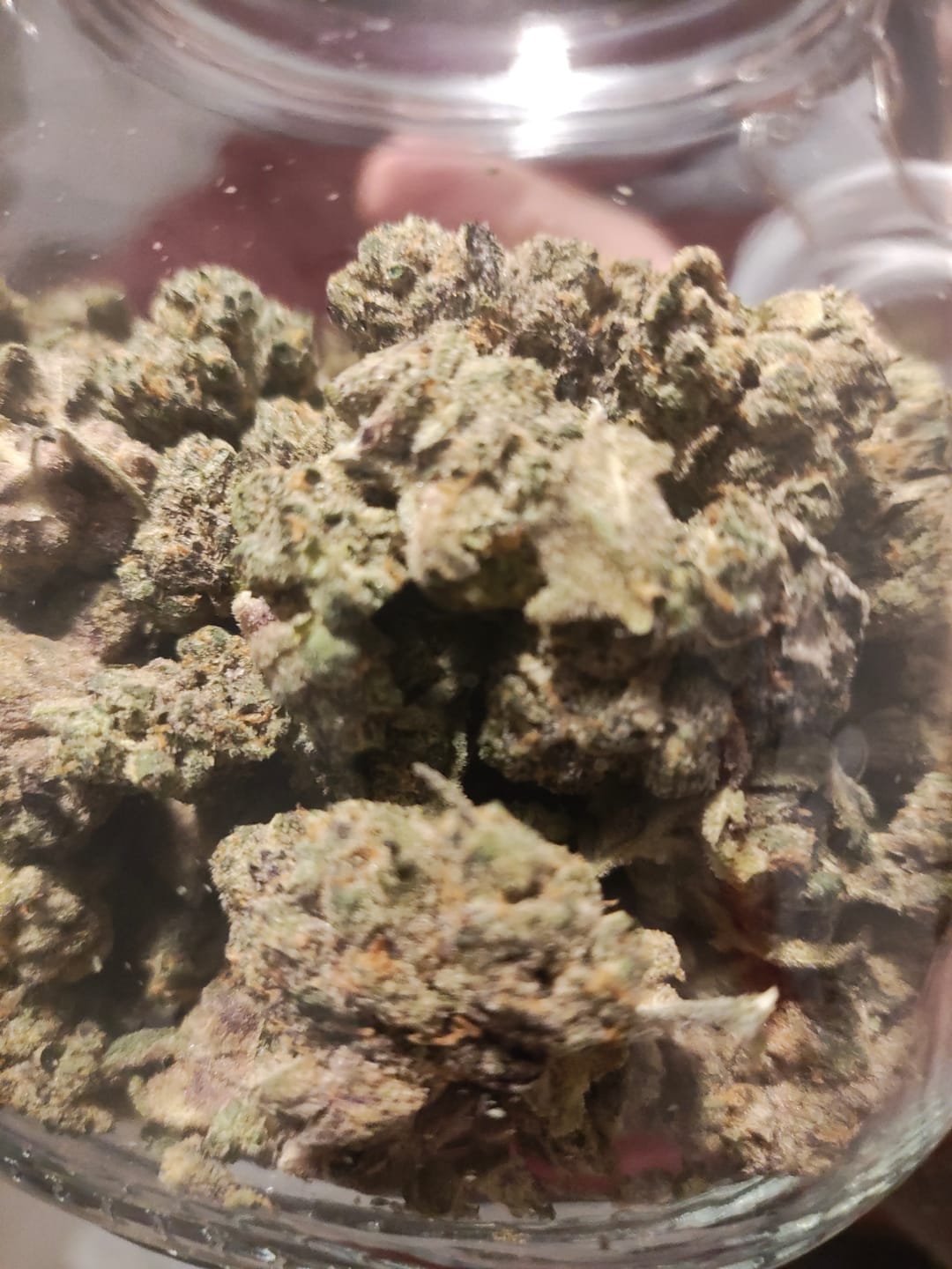 Customer photo review of Durban Poison THCA Flower