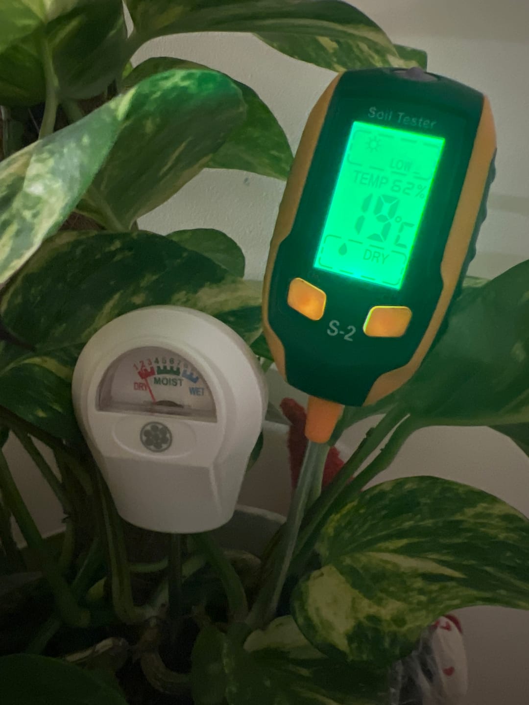 Customer photo review of Soil Moisture Meter