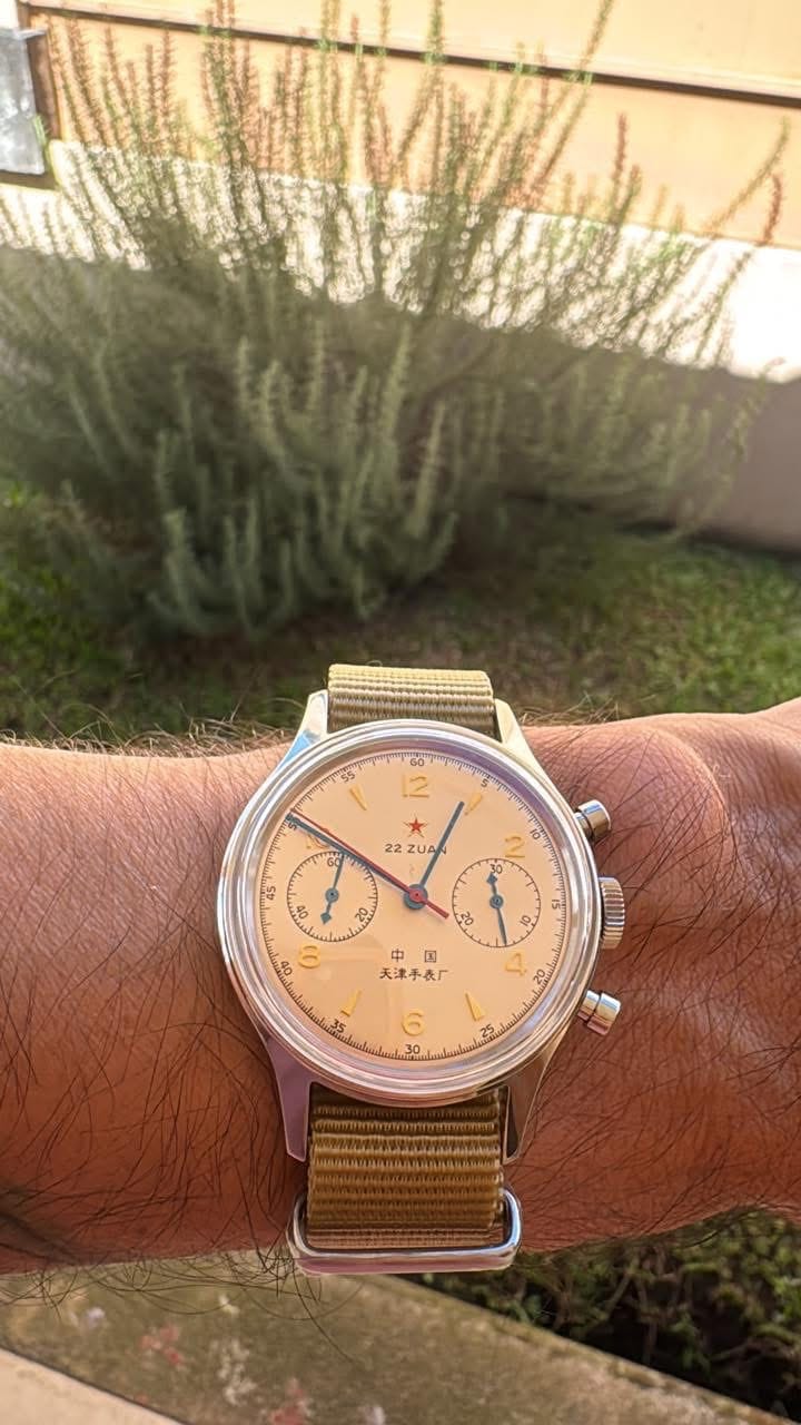 Customer photo review of 1963 Series | 70th Anniversary Reissue | Chronograph |37.3mm