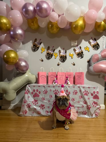Customer photo review of Personalized Dog Party Pack