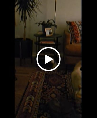 Customer video review of Interactive Bird Simulation Cat Toy Set