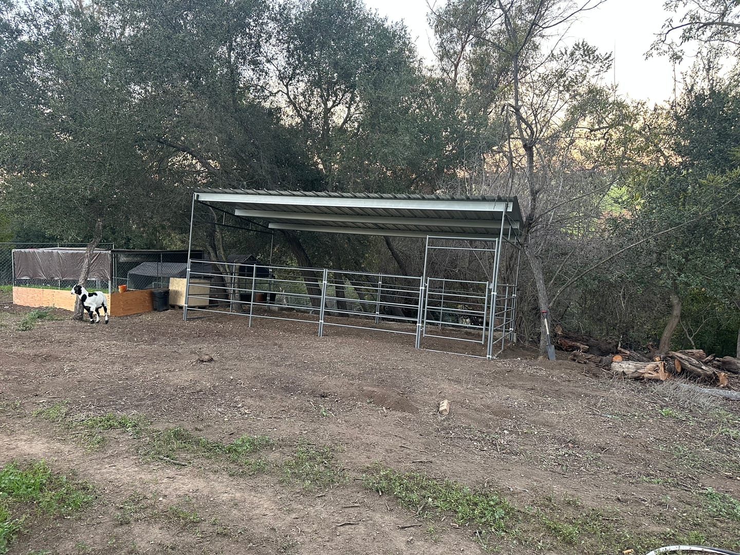 Customer photo review of 13X3 PBR Panel - Galvalume Metal Roof Siding Material (3ft x 13ft) 26-Gauge