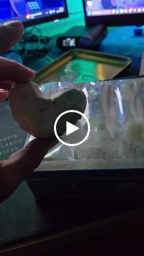 Customer video review of Traditional Kourabiedes Faidon - 350g