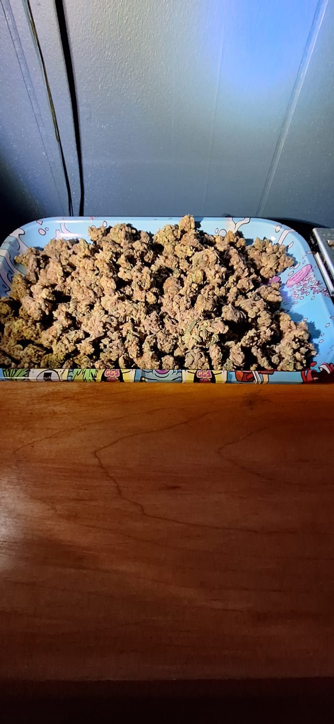 Customer photo review of Cereal Milk THCA Flower