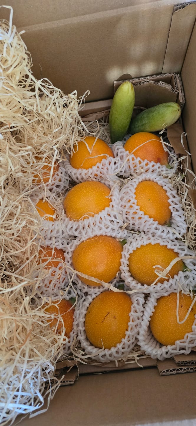 Customer photo review of Granadilla & Mangostan Deluxebox Sonderaktion %