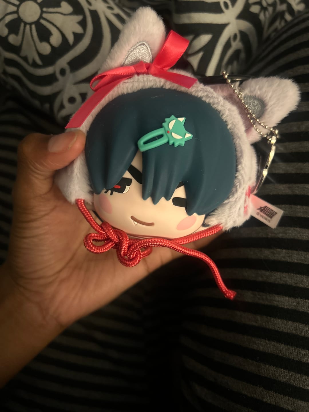 Customer photo review of Alien Stage Freedom Stage Series Earphone Pouch