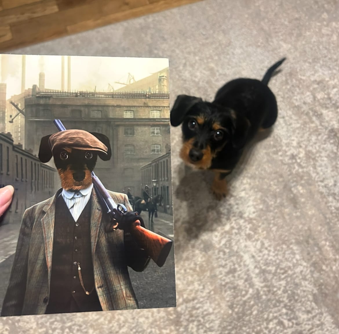 Customer photo review of The Thug (Peaky Blinders Inspired): Custom Pet Portrait