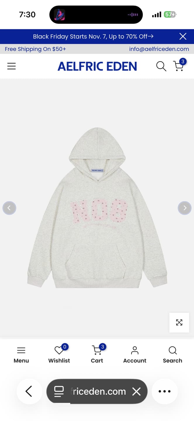 Customer photo review of Aelfric Eden Oversized N08 Graphic Hoodie
